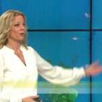 Linda Eriksson Meteorolog Gravid