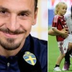 Zlatan Ibrahimovic Barn