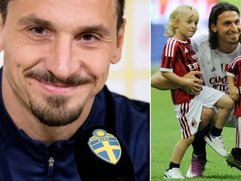Zlatan Ibrahimovic Barn